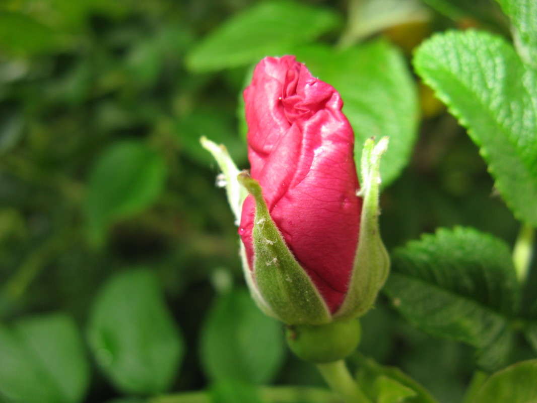 �������� ����� ������� ��������� �� PhotoGeek.ru #����� #������ ��� ������� #����� ��������������