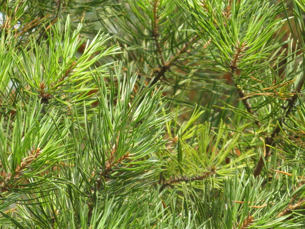 �������� ���� ����� ������� ��������� �� PhotoGeek.ru #������ ��� ������� #����� ��������������