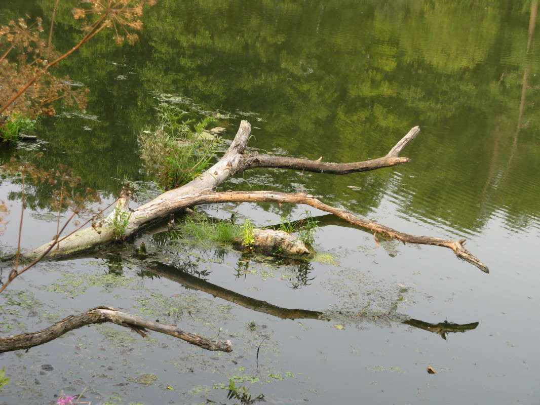 ����� � ���� ����� ������� ��������� �� PhotoGeek.ru #������ ��� �������