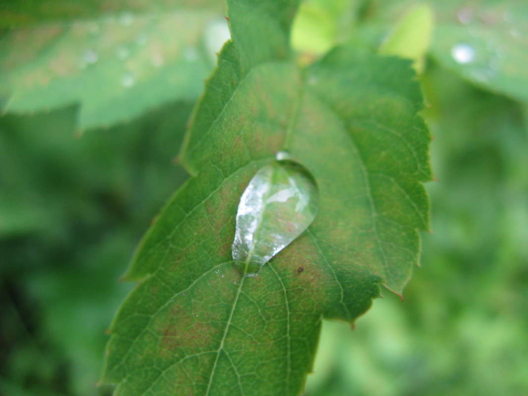 �������� ����� ������� ��������� �� PhotoGeek.ru #����� #������ ��� ������� #����� ��������������