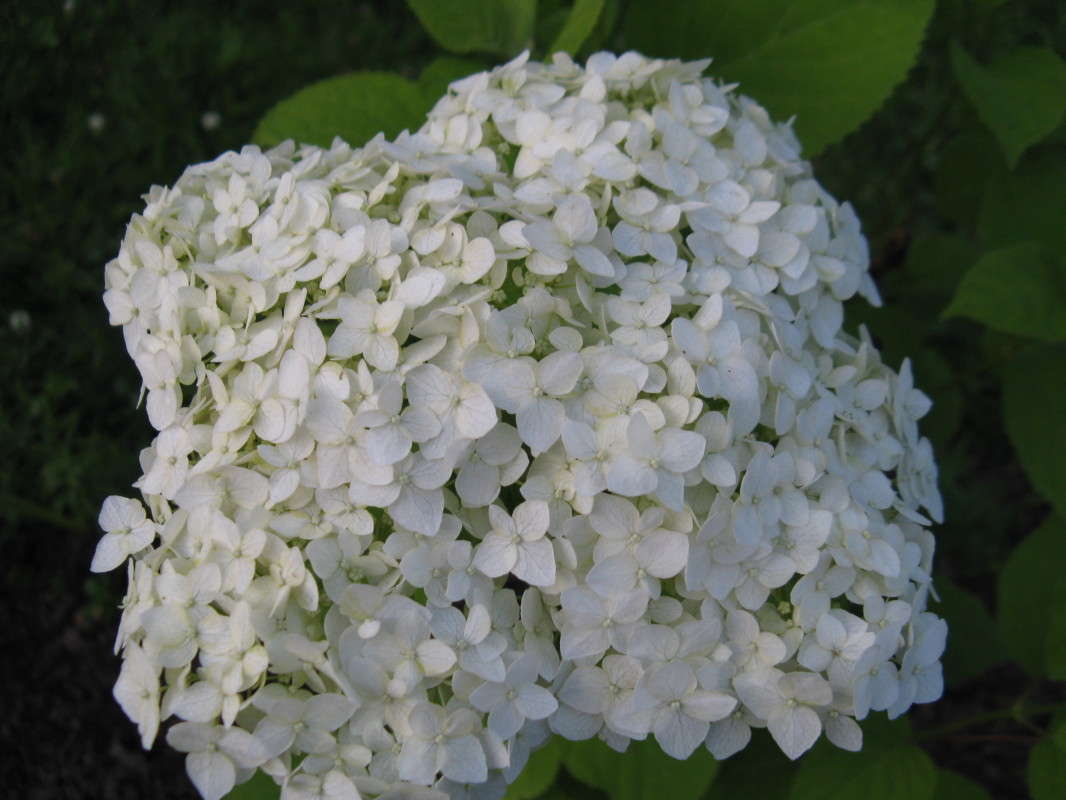 ����� ����� ����� ������� ��������� �� PhotoGeek.ru #����� #������ ��� ������� #����� ��������������