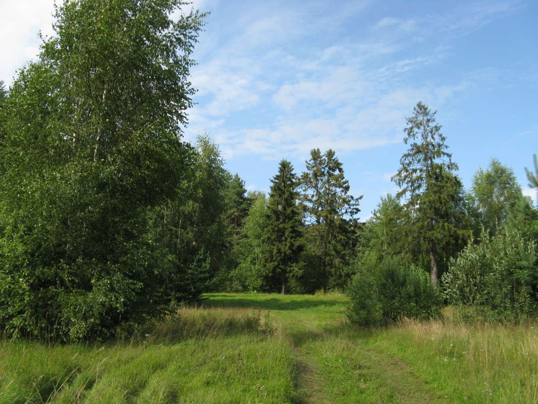 �������� ����� ������� ��������� �� PhotoGeek.ru #������ ��� �������