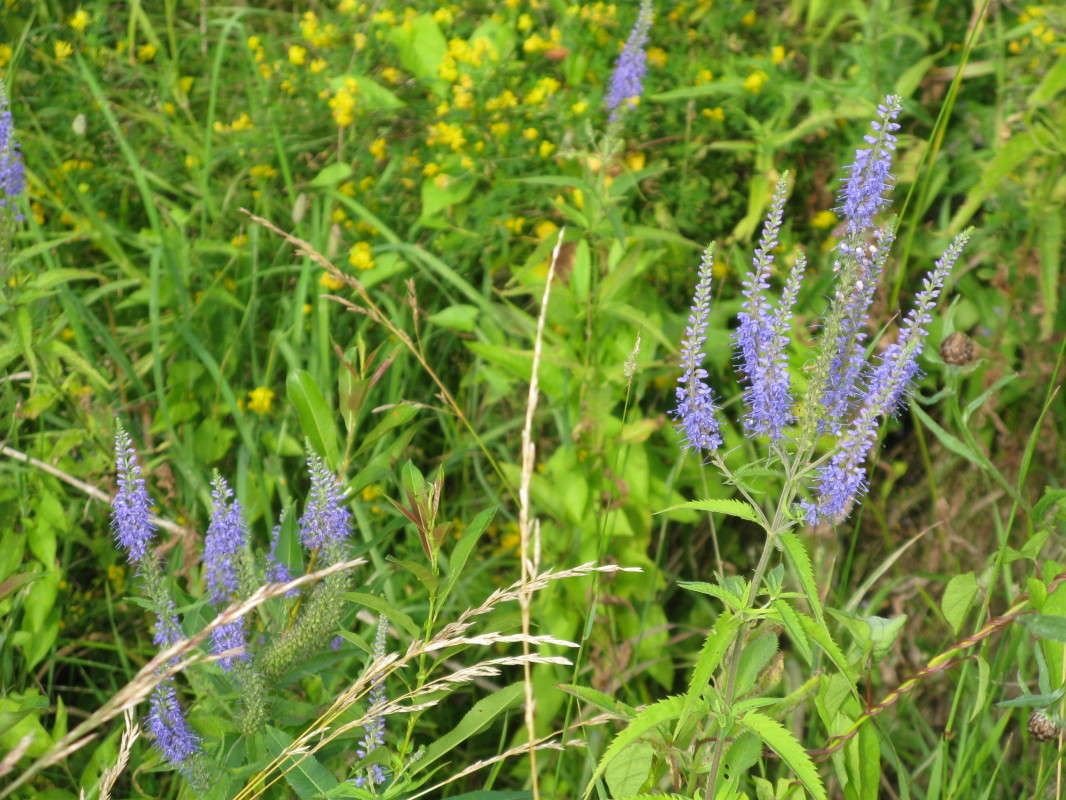 ����� ����� ������� ��������� �� PhotoGeek.ru #������ ��� ������� #����� ��������������