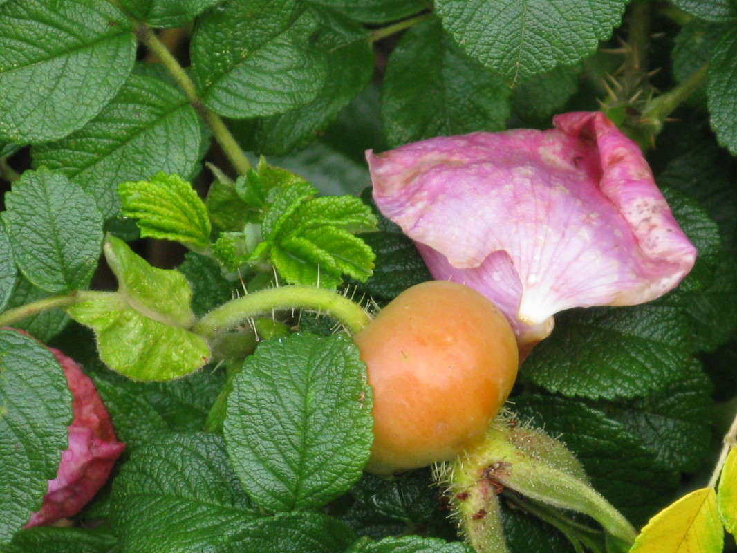 �������� ����� ������ ����� ������� ��������� �� PhotoGeek.ru #����� #������ ��� ������� #����� ��������������