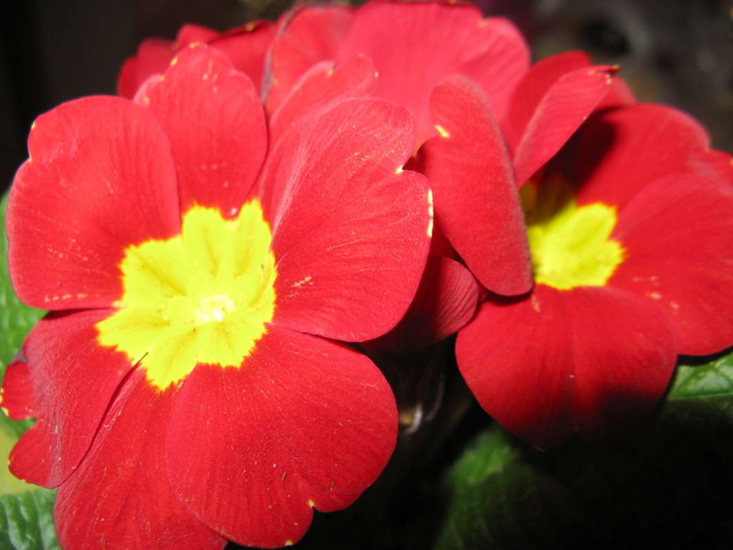 ������� ������� ����� ������� ��������� �� PhotoGeek.ru #����� #����� ��������������