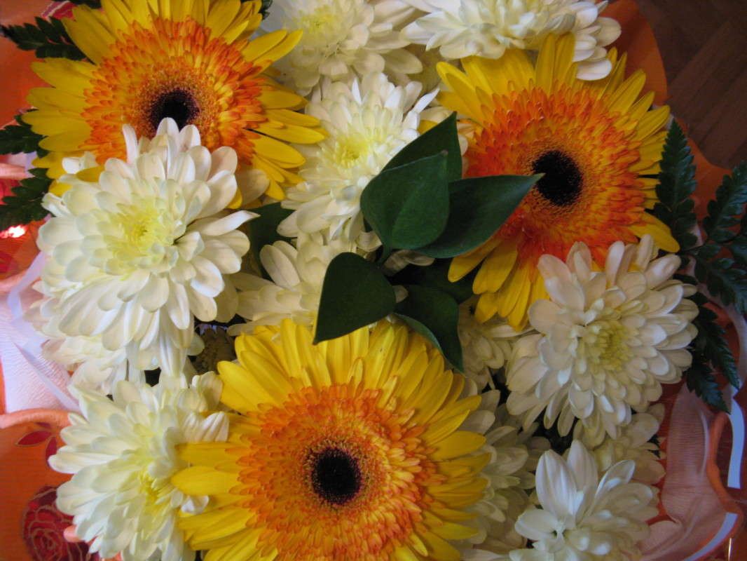 ����� ����� ������� ��������� �� PhotoGeek.ru #����� #����� ��������������