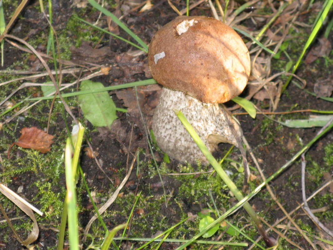 ������� ��������� ����� ������� ��������� �� PhotoGeek.ru #����� #������ ��� �������