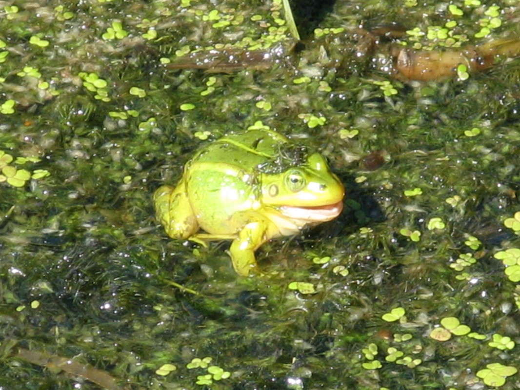 ������� ����� ������� ��������� �� PhotoGeek.ru #�������� ��� #����� ��� ��� ���������