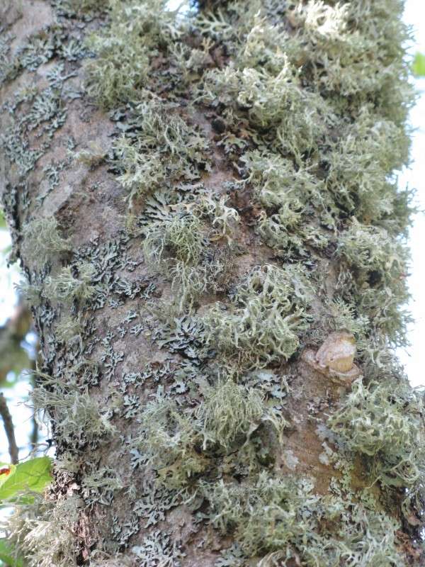 �������� ����� ����� ������� ��������� �� PhotoGeek.ru #����� #������ ��� ������� #����� ��������������