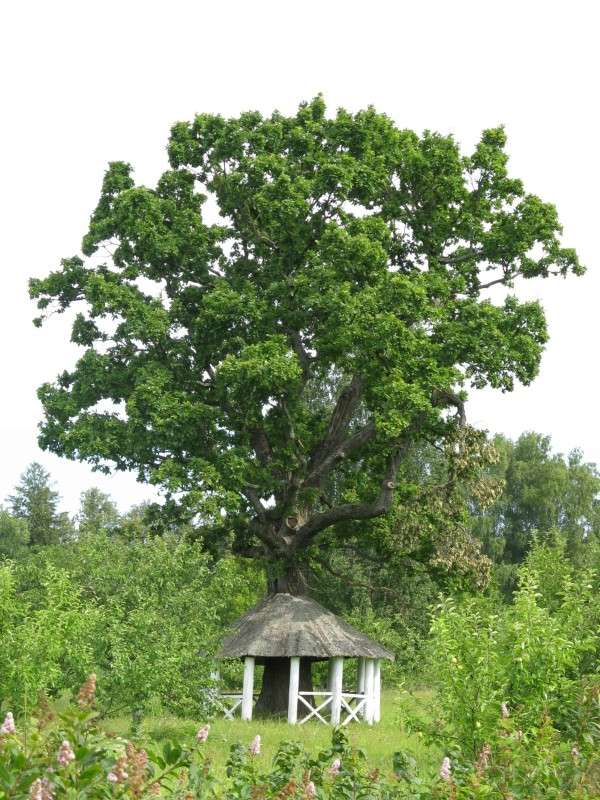 ��������� ��� ������� ����� ������� ��������� �� PhotoGeek.ru #������ ��� ������� #����� ��������������