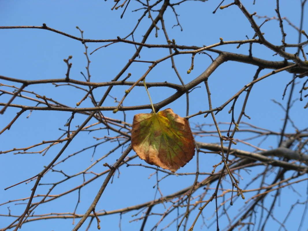 ������� ������ ����� ������� ��������� �� PhotoGeek.ru #������ ��� �������