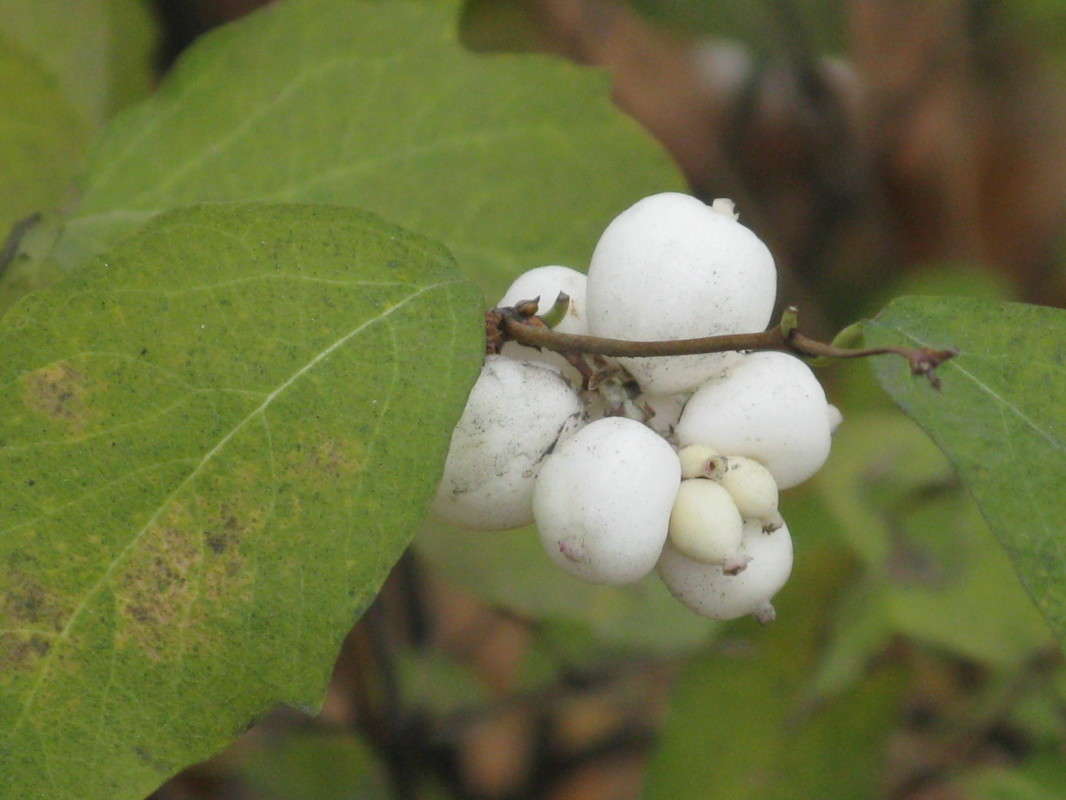 ������������� ����� ������� ��������� �� PhotoGeek.ru #����� #����� ��������������