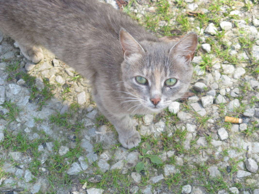 "��� ����, �������?" ����� ������� ��������� �� PhotoGeek.ru #�������� ���