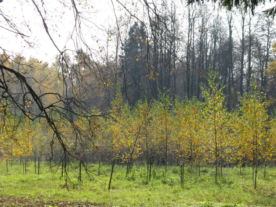 ������� ������� ����� ������� ��������� �� PhotoGeek.ru #������ ��� ������� #����� ��������������