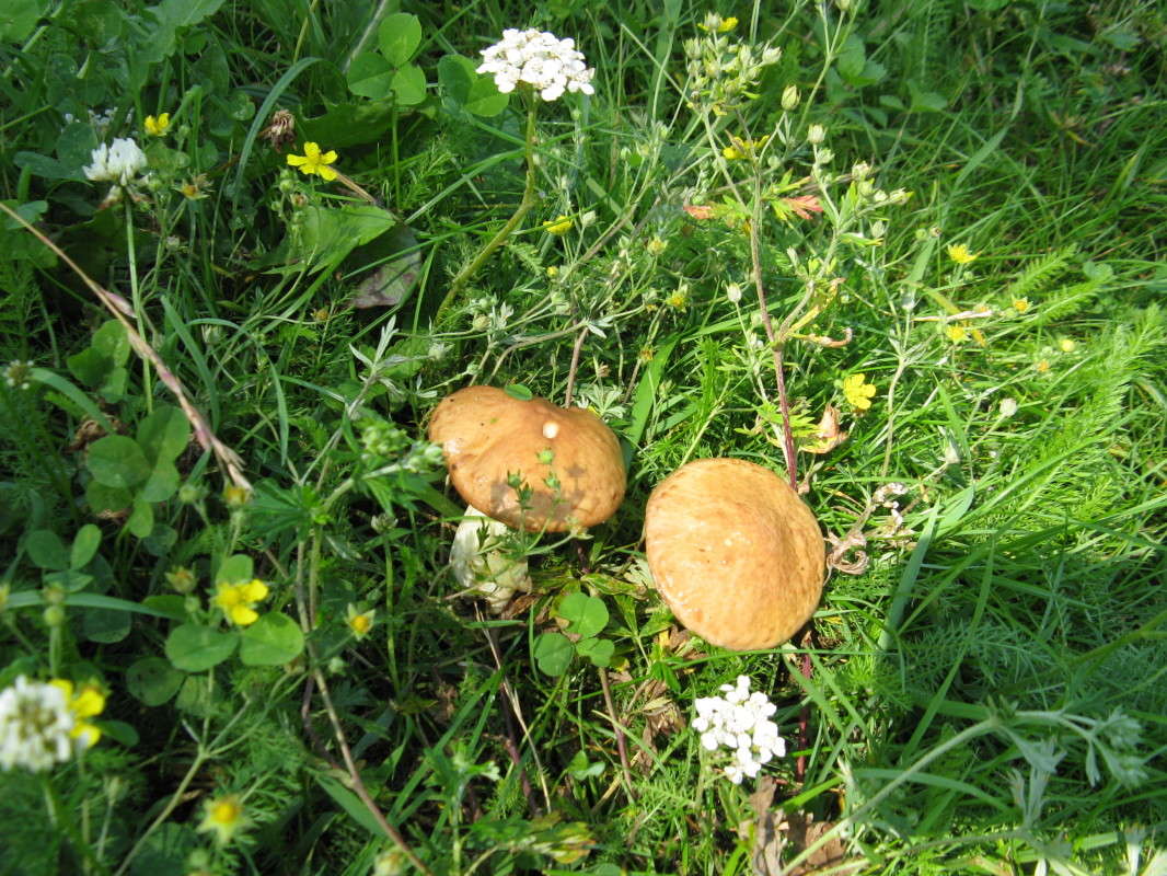 ������� ����� ������� ��������� �� PhotoGeek.ru #������ ��� ������� #����� ��������������