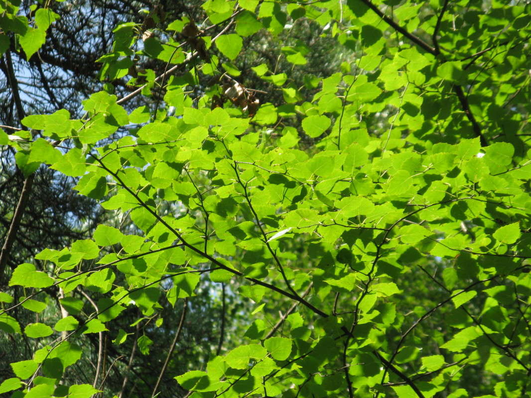 ������ � ������ ����� ������� ��������� �� PhotoGeek.ru #������ ��� ������� #����� ��������������