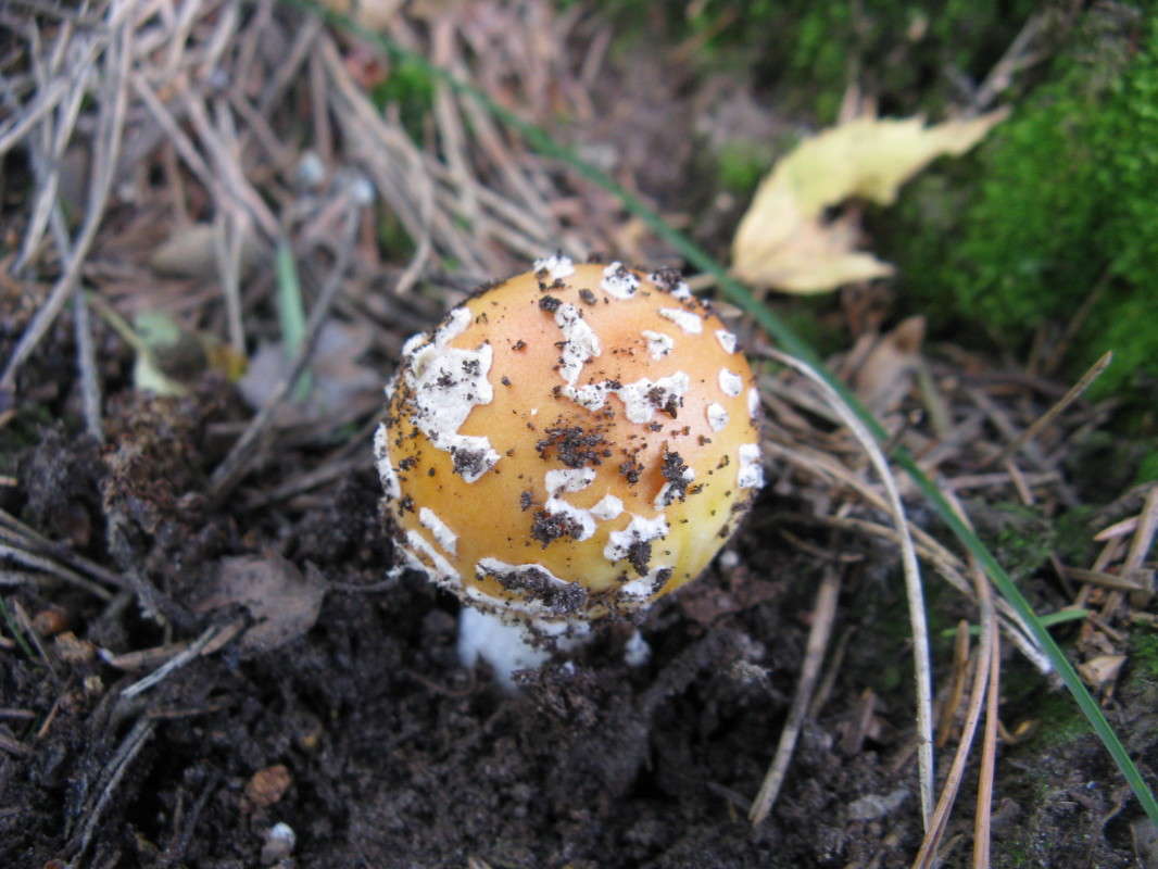 ���� ���������� ����� ������� ��������� �� PhotoGeek.ru #����� #������ ��� �������