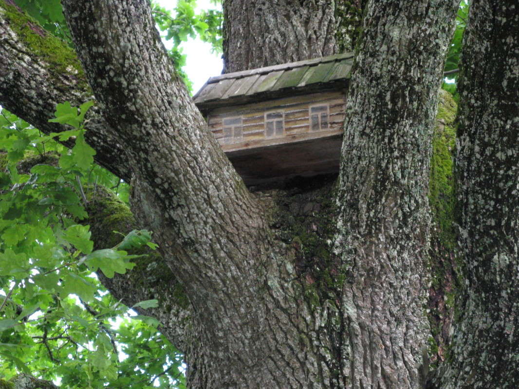 ���������� ����� ����� ������� ��������� �� PhotoGeek.ru #������ ��� �������