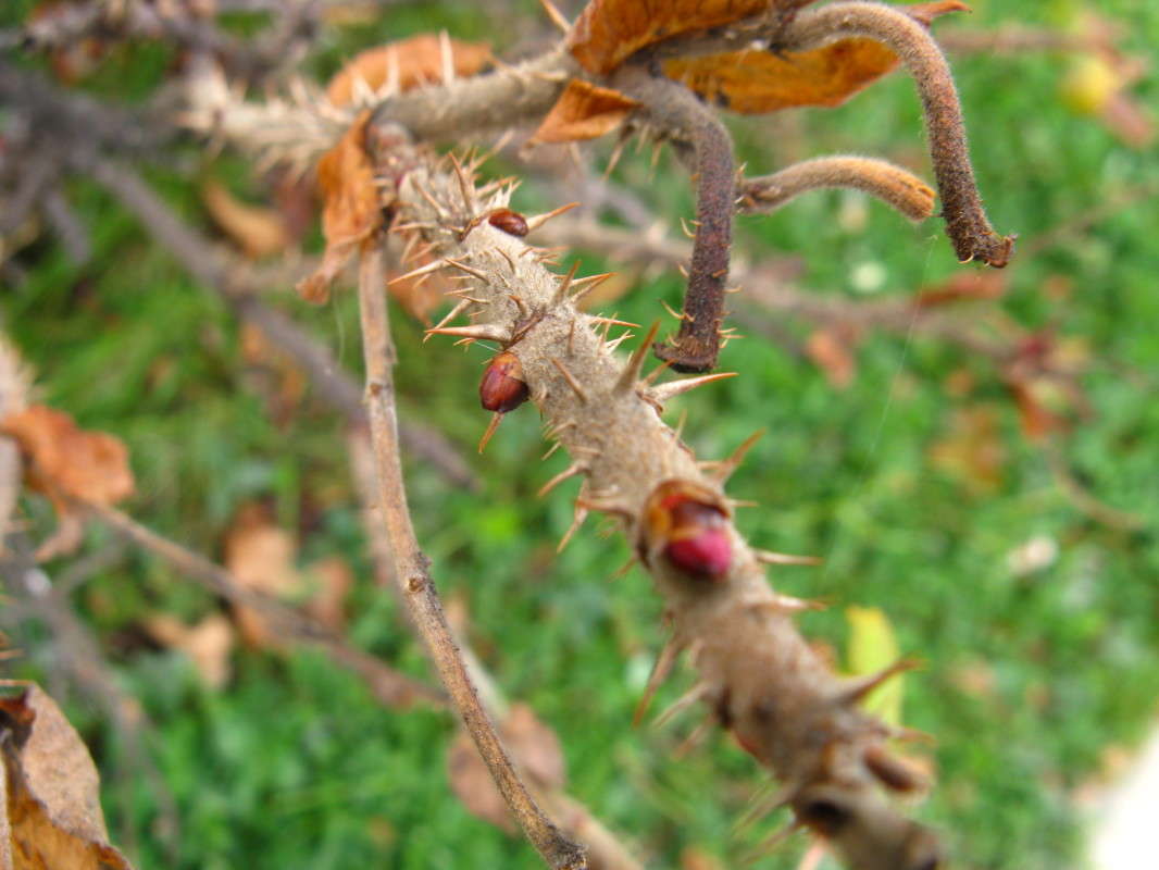 ������� ����� ������� ��������� �� PhotoGeek.ru #����� #������ ��� �������