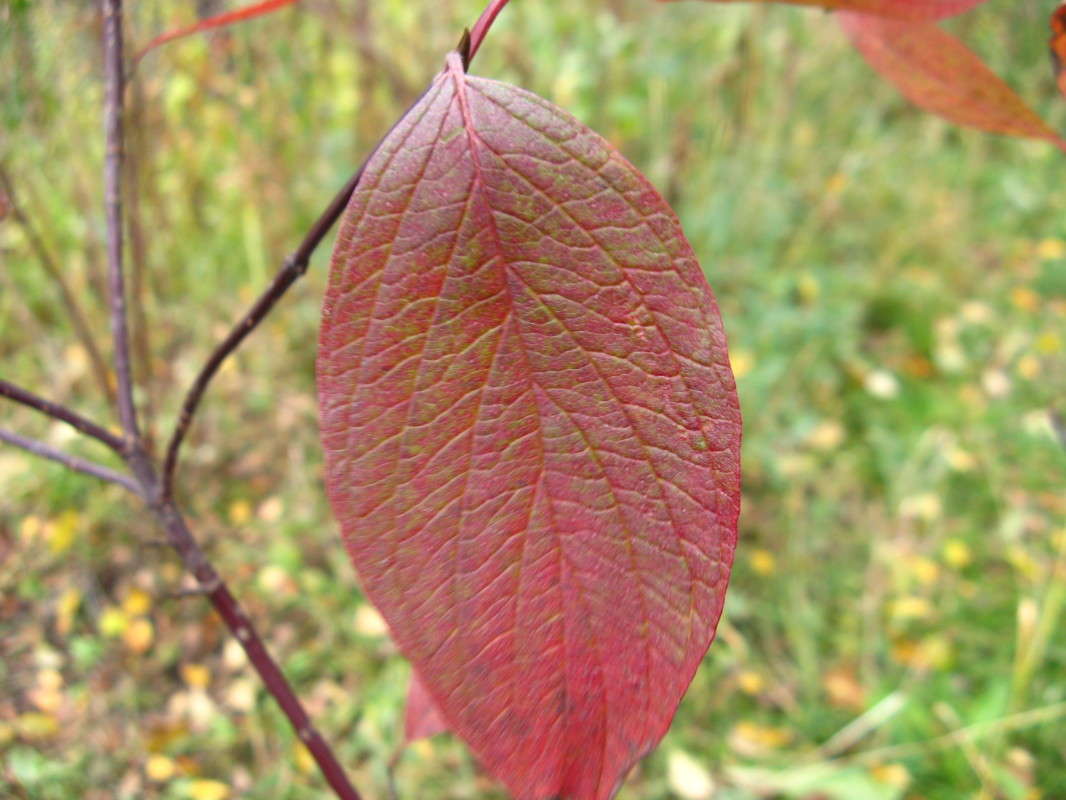 ���� ����� ������� ��������� �� PhotoGeek.ru #����� #������ ��� ������� #����� ��������������