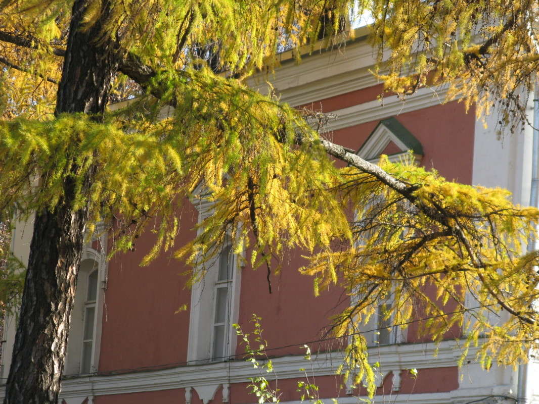 ������ ����������� ����� ������� ��������� �� PhotoGeek.ru #������ ��� ������� #����� ��������������