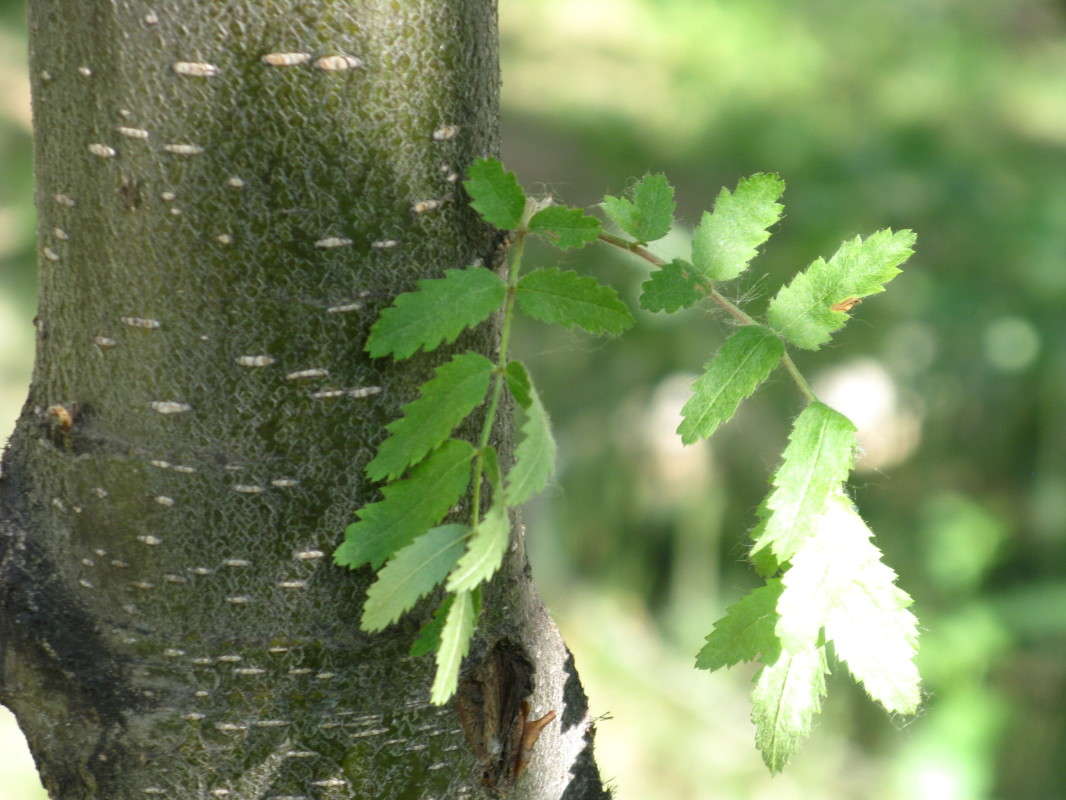 ����� ����� ������� ��������� �� PhotoGeek.ru #����� #������ ��� ������� #����� ��������������