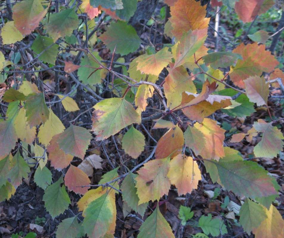 ��������� ����� � ��������... ����� ������� ��������� �� PhotoGeek.ru #������ ��� ������� #����� ��������������