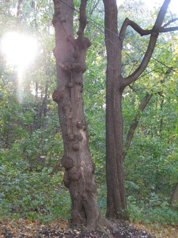 � �����. ��������� ���� ����� ������� ��������� �� PhotoGeek.ru #������ ��� ������� #����� ��������������