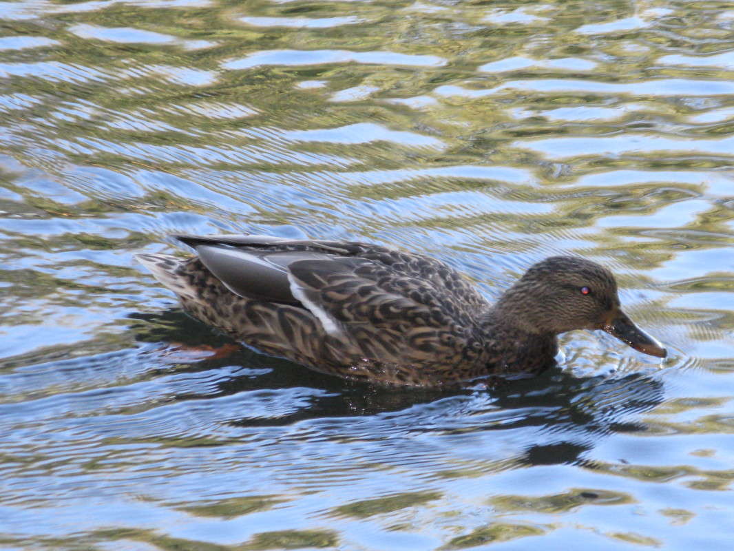 ������ ����� ������� ��������� �� PhotoGeek.ru #�������� ��� #������ ��� ������� #����� ��������