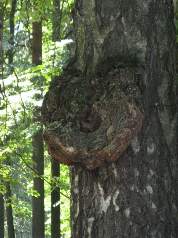 ������ ����� ������� ��������� �� PhotoGeek.ru #������ ��� ������� #����� ��������������