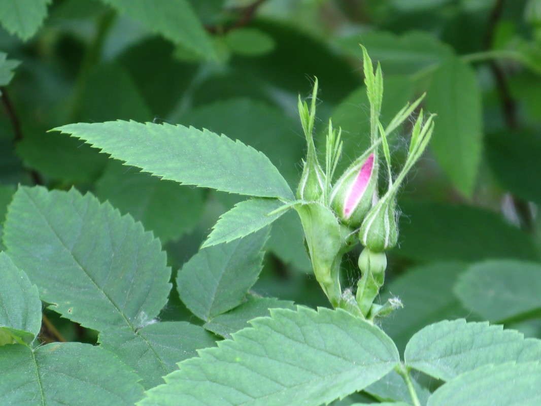 ������������ ��������... ����� ������� ��������� �� PhotoGeek.ru #����� #������ ��� ������� #����� ��������������