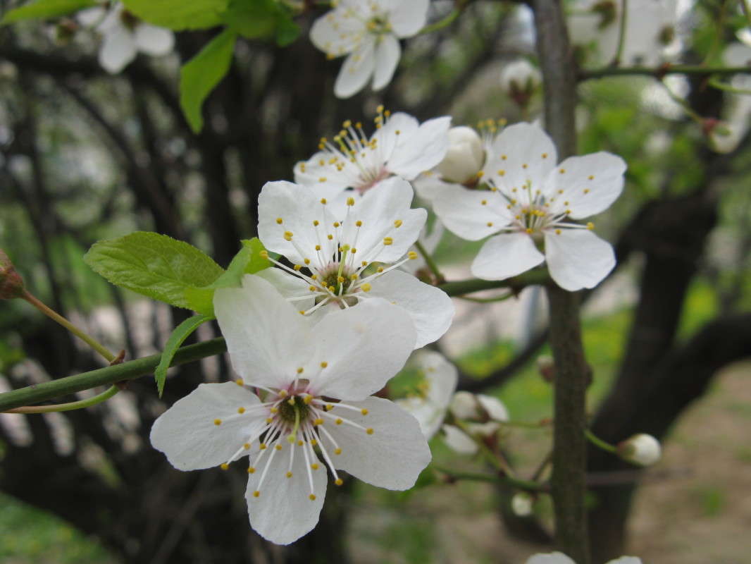 �������� ����� (1) ����� ������� ��������� �� PhotoGeek.ru #����� #������ ��� ������� #����� ��������������