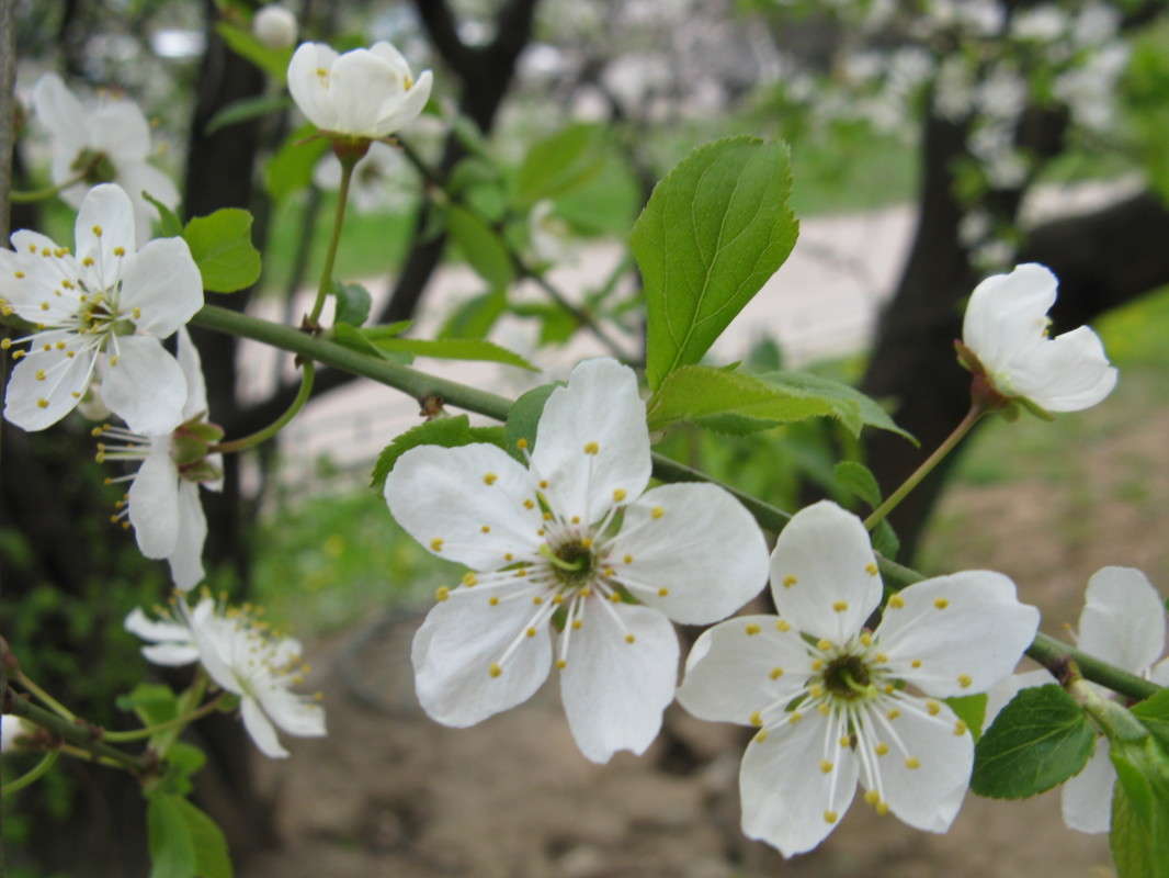 �������� ����� (2) ����� ������� ��������� �� PhotoGeek.ru #����� #������ ��� ������� #����� ��������������