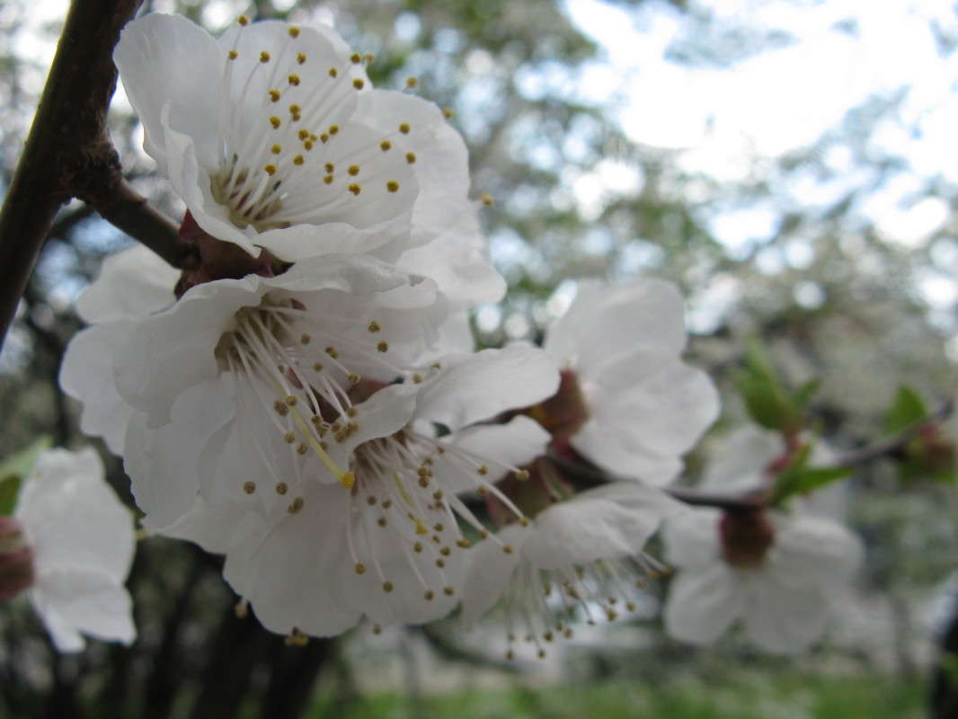 �������� ����� (1) ����� ������� ��������� �� PhotoGeek.ru #����� #������ ��� ������� #����� ��������������