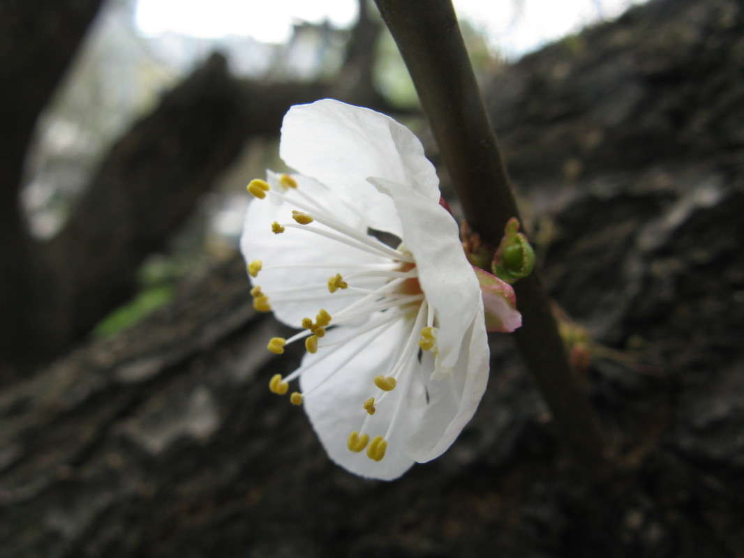 �������� ����� (2) ����� ������� ��������� �� PhotoGeek.ru #����� #������ ��� ������� #����� ��������������