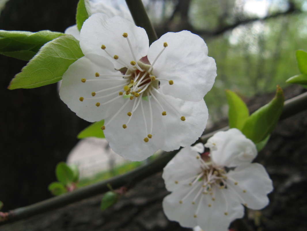 �������� ����� (3) ����� ������� ��������� �� PhotoGeek.ru #����� #������ ��� ������� #����� ��������������