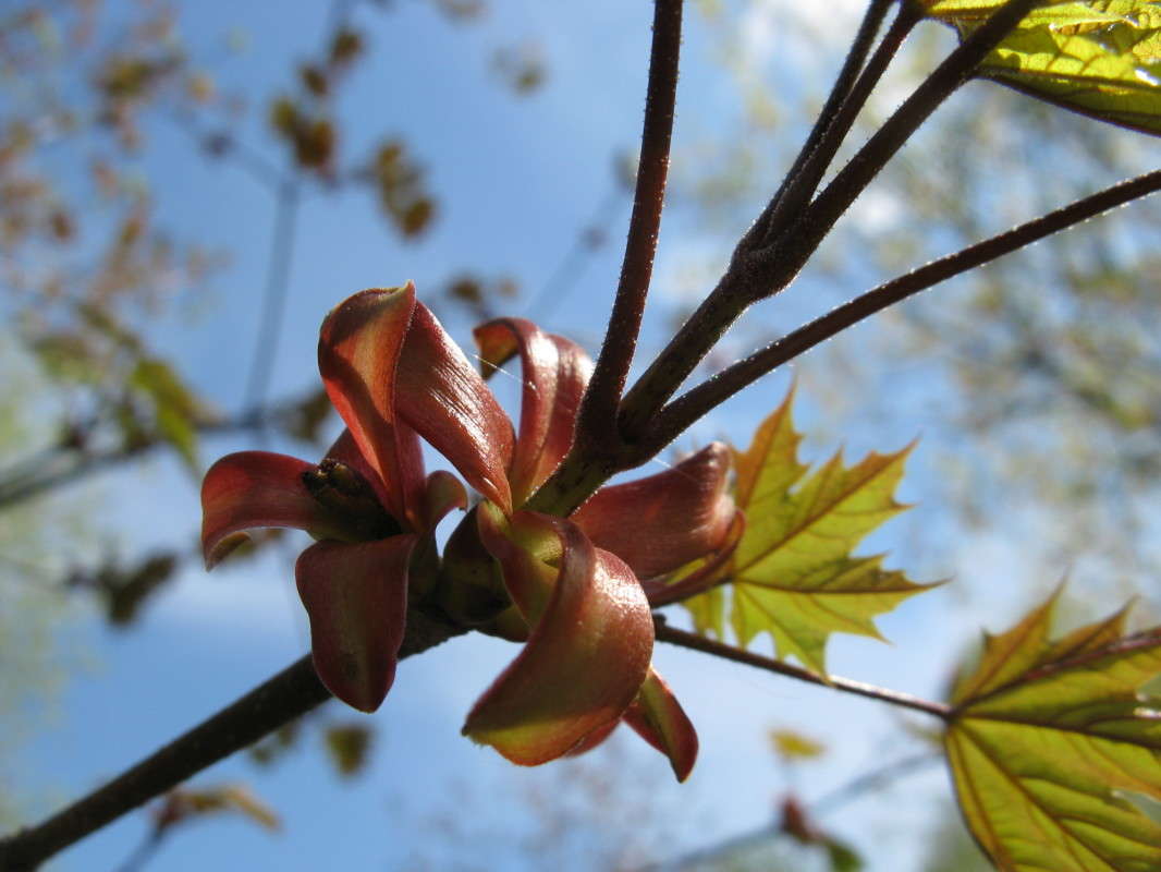 ������� ��� ����� ������� ��������� �� PhotoGeek.ru #����� #������ ��� ������� #����� ��������������