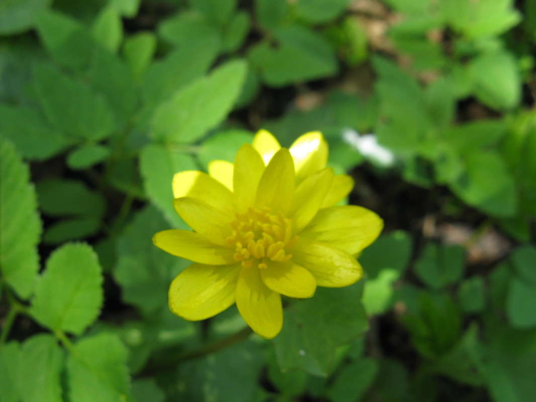 ������� ��� ����� ������� ��������� �� PhotoGeek.ru #����� #������ ��� ������� #����� ��������������