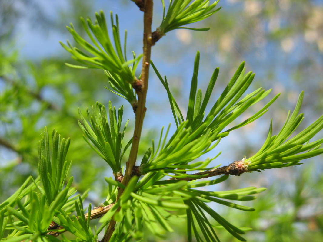 �������������� ����������� ����� ������� ��������� �� PhotoGeek.ru #����� #������ ��� ������� #����� ��������������