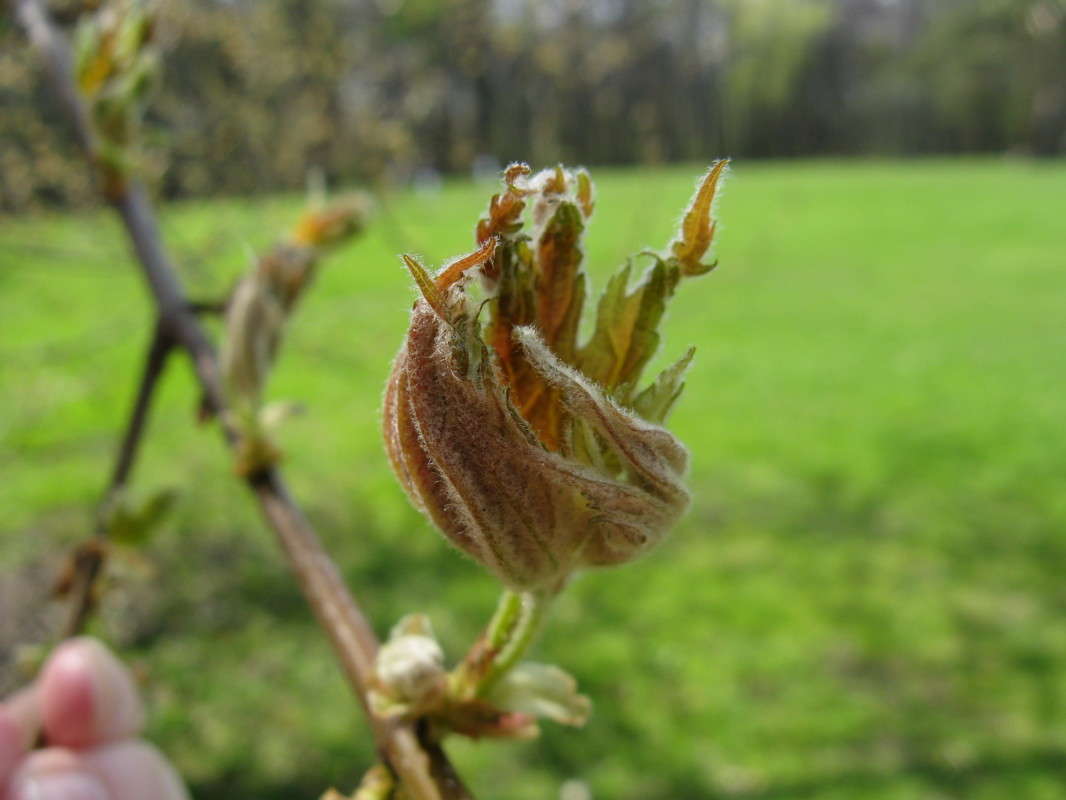 �������� ����� ����� ������� ��������� �� PhotoGeek.ru #����� #������ ��� ������� #����� ��������������