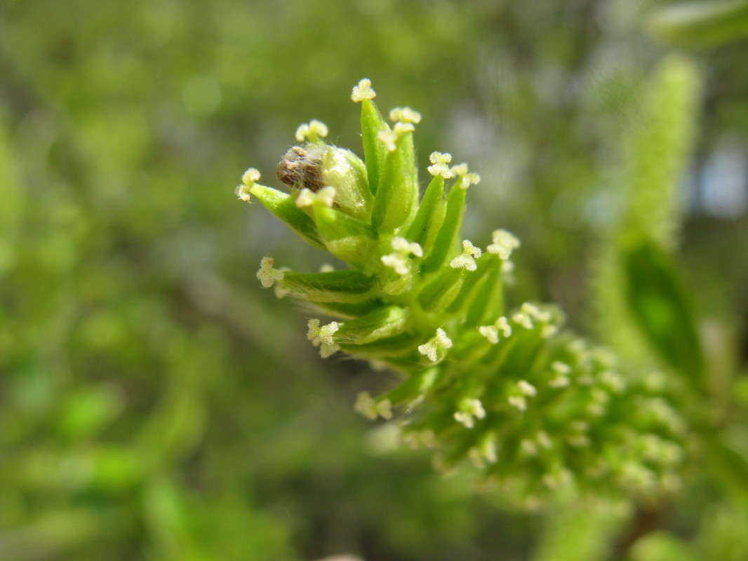 �����! ����� ������� ��������� �� PhotoGeek.ru #����� #������ ��� ������� #����� ��������������