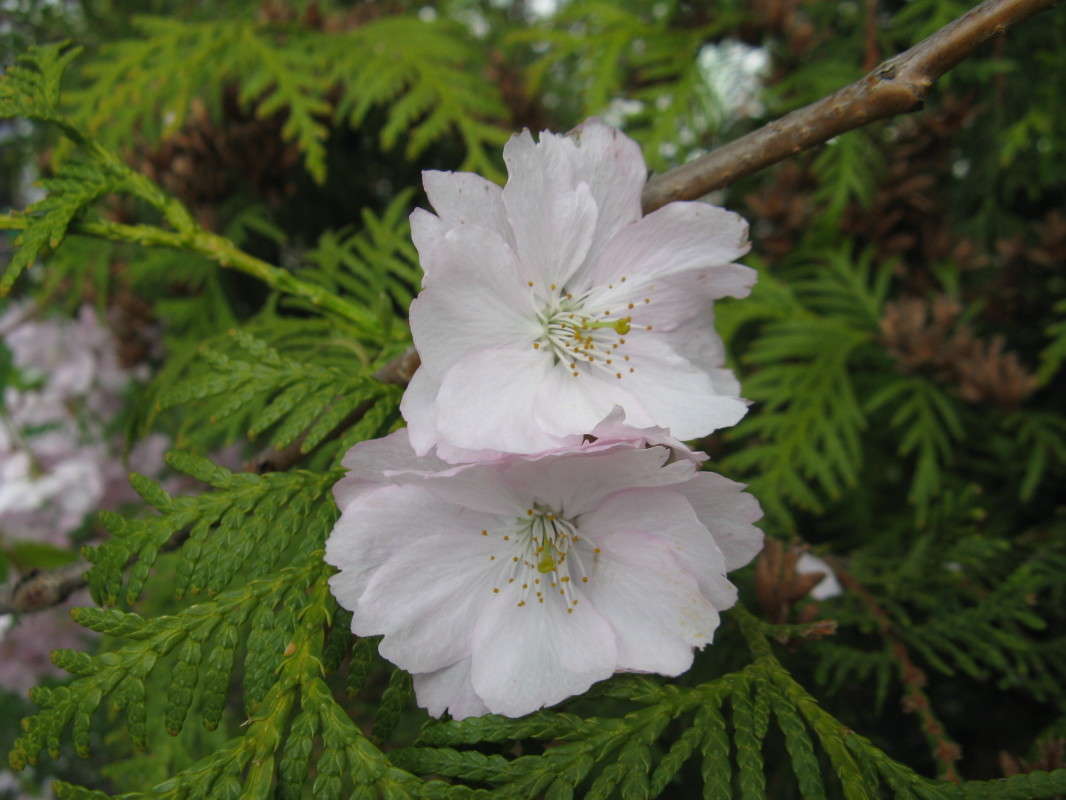 ��������� ��������� ����� ������� ��������� �� PhotoGeek.ru #����� #������ ��� ������� #����� ��������������