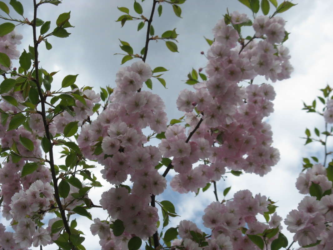 �������� ������ (2) ����� ������� ��������� �� PhotoGeek.ru #������ ��� ������� #����� ��������������