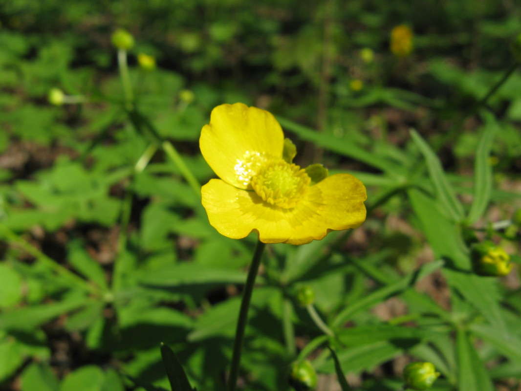 ����� ����� ������� ��������� �� PhotoGeek.ru #����� #������ ��� ������� #����� ��������������