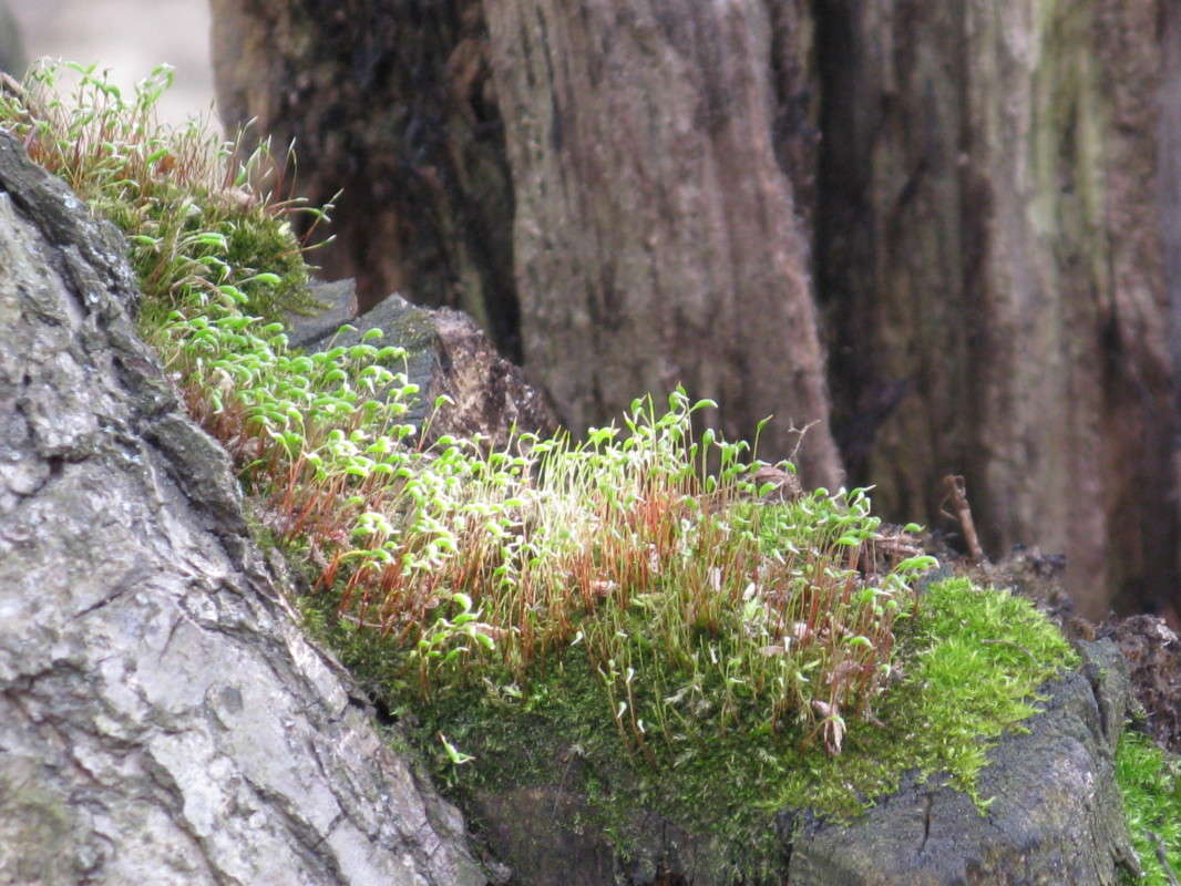 ��� ����� ������� ��������� �� PhotoGeek.ru #����� #������ ��� ������� #����� ��������������