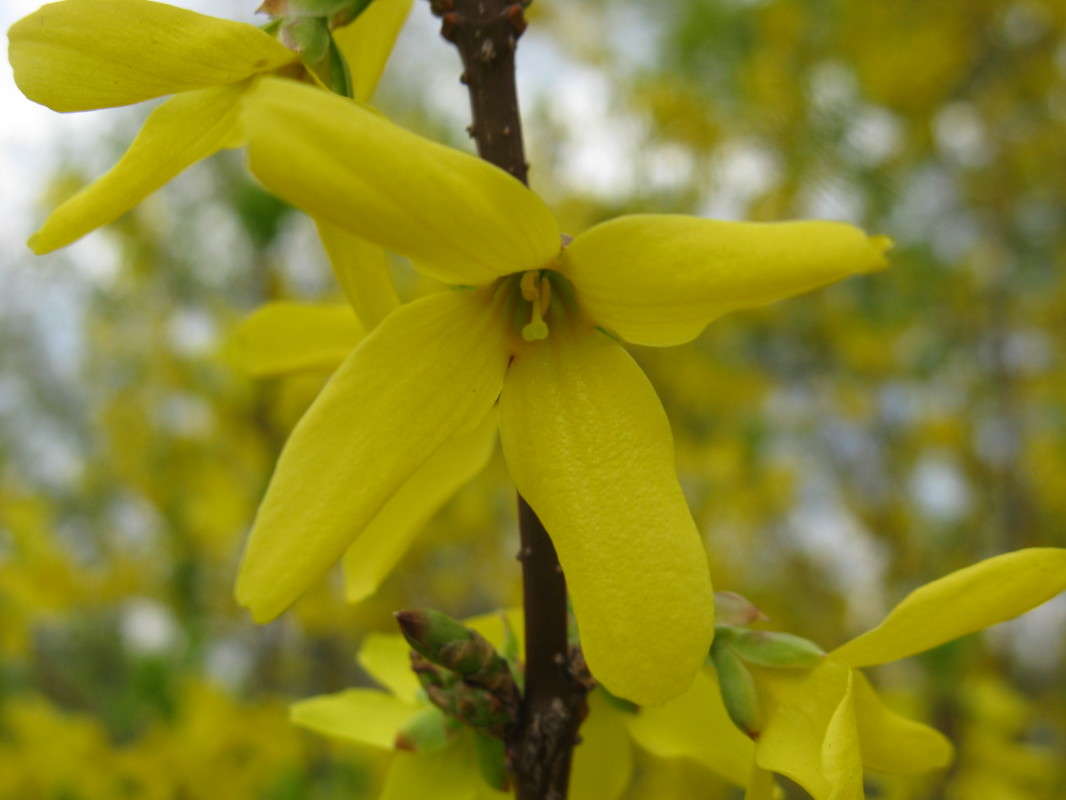 Ƹ���� ������ ����� ������� ��������� �� PhotoGeek.ru #����� #������ ��� ������� #����� ��������������