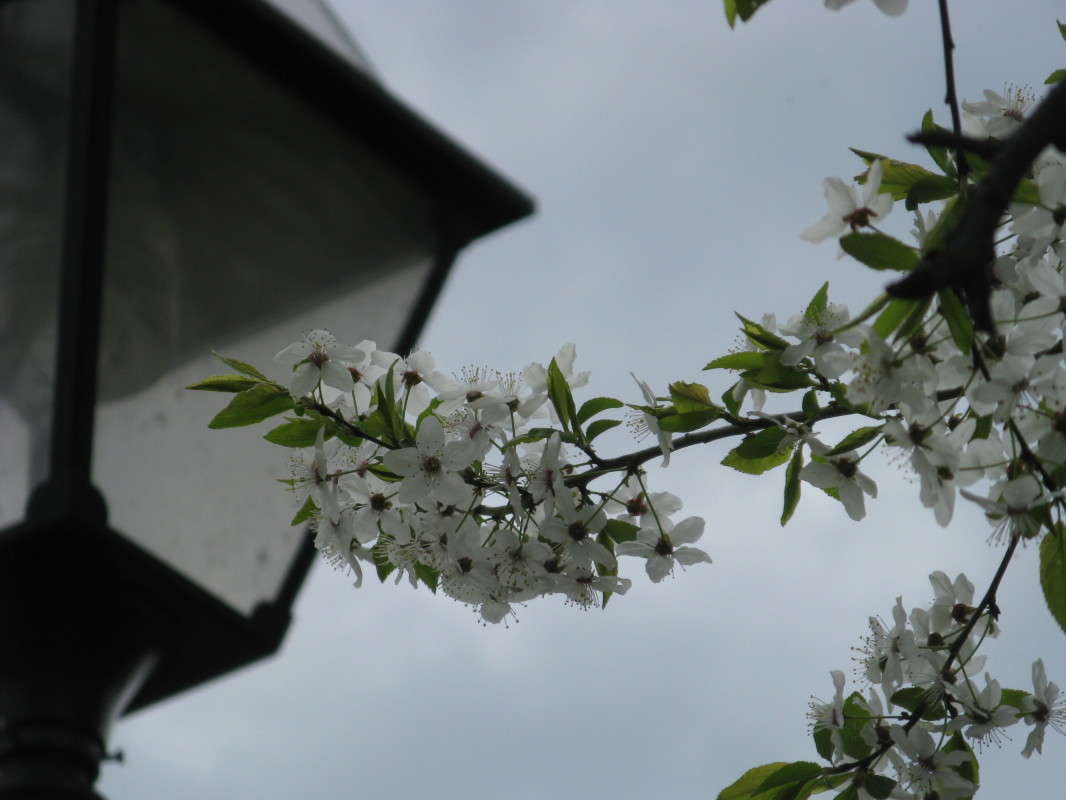 �������� �����. ������ ����� ������� ��������� �� PhotoGeek.ru #������ ��� ������� #����� ��������������