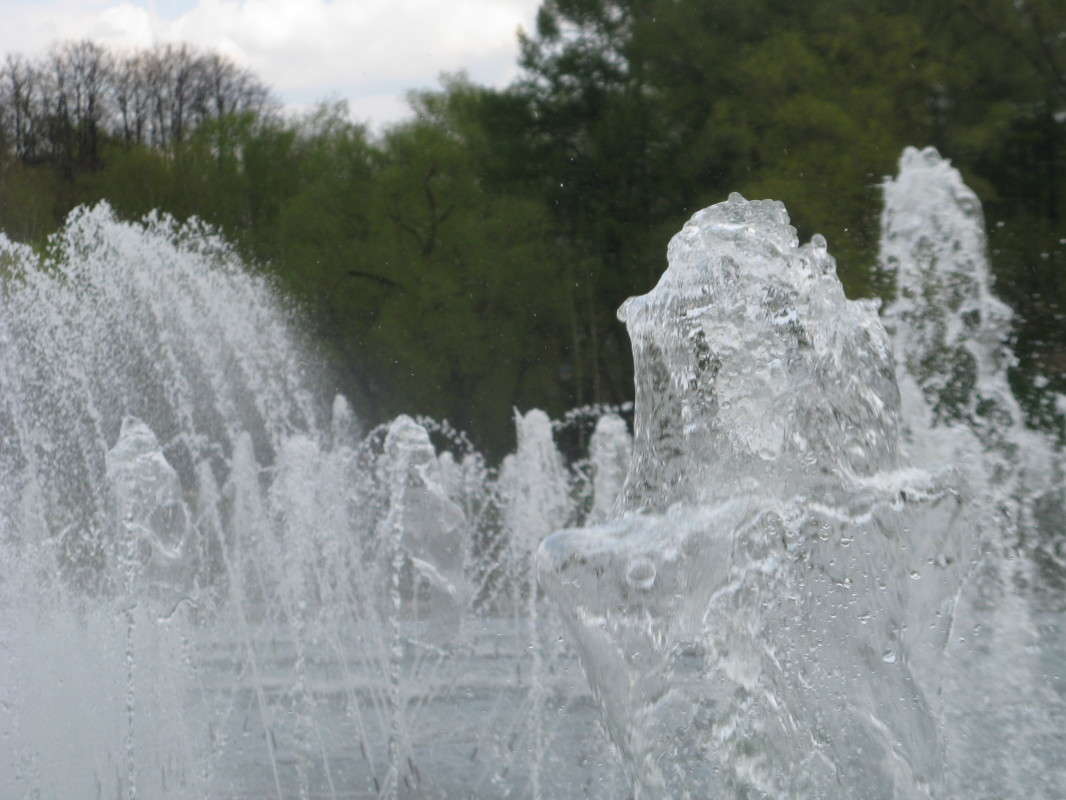 ������ (3) ����� ������� ��������� �� PhotoGeek.ru #����� #������ ��� ������� #������