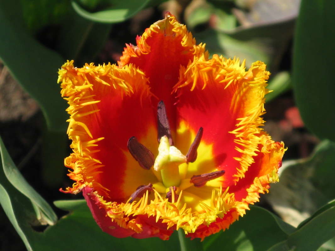 ������� ����� ������� ��������� �� PhotoGeek.ru #����� #������ ��� ������� #����� ��������������