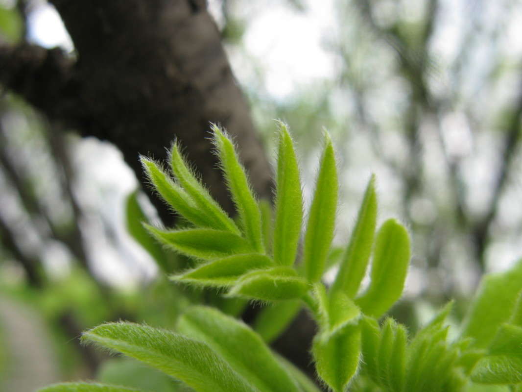 ������� ������ ����� ������� ��������� �� PhotoGeek.ru #����� #������ ��� ������� #����� ��������������